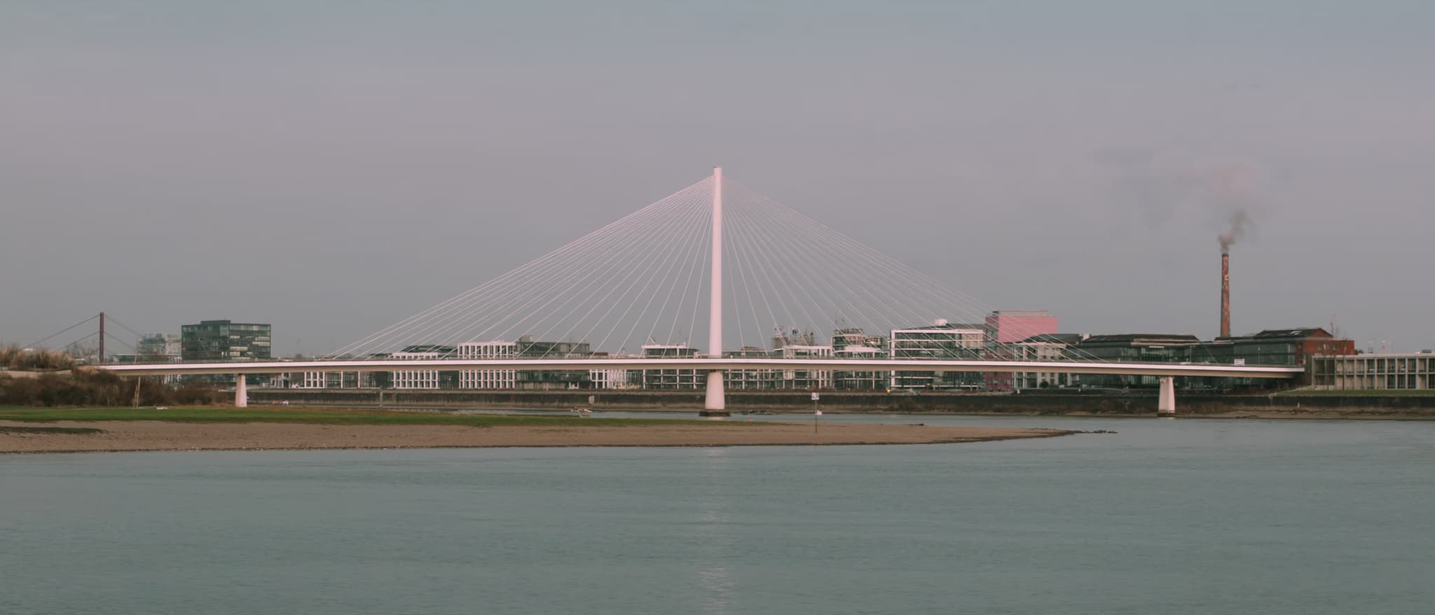 A cable-stayed bridge with a single pylon over the bend of the Rhine, flat water in front of it
